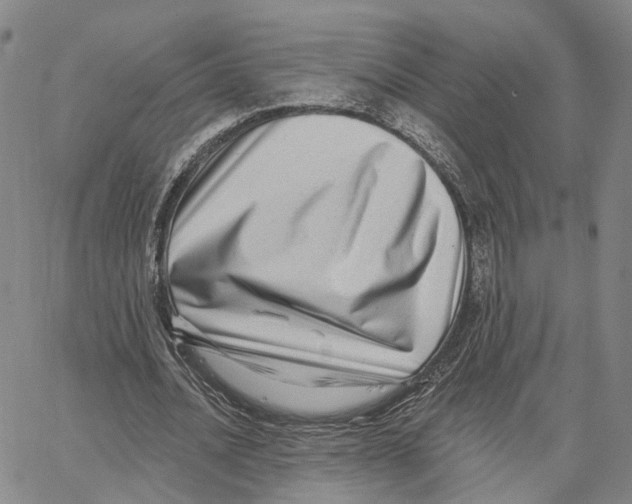 X0000062640628200601181745