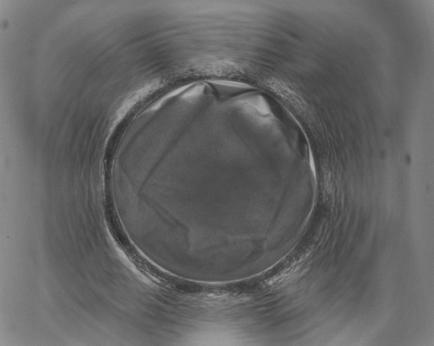 X0000062640630200601181745