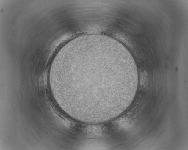 X0000062640632200601181745