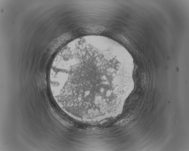 X0000062640634200601181746