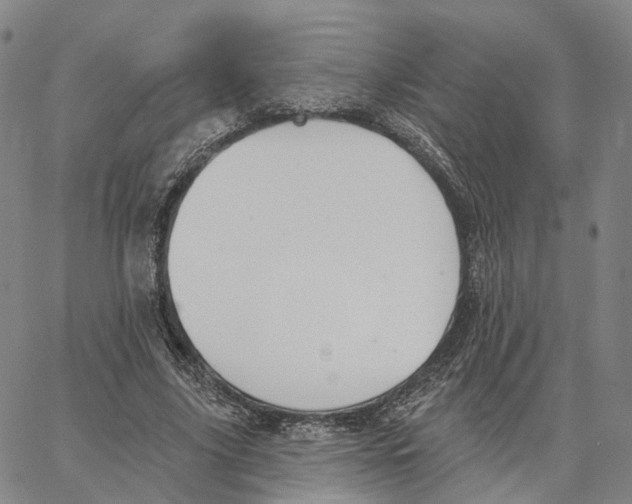 X0000062640635200601181746