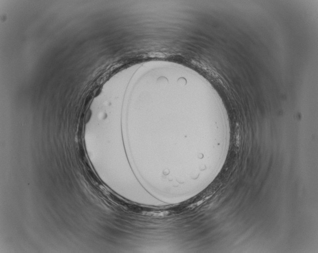 X0000062640639200601181746