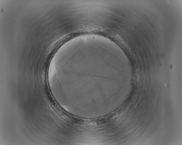 X0000062640640200601181746