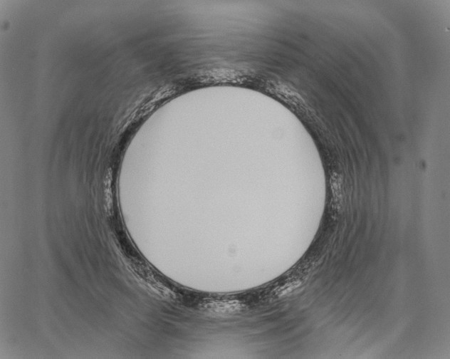 X0000062640642200601181746