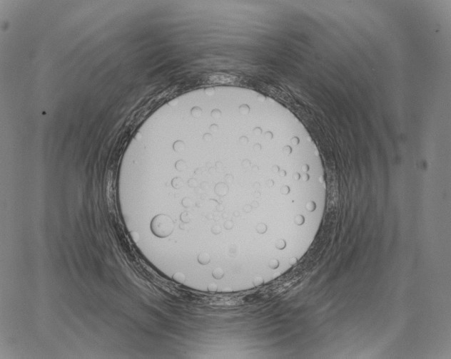 X0000062640646200601181746