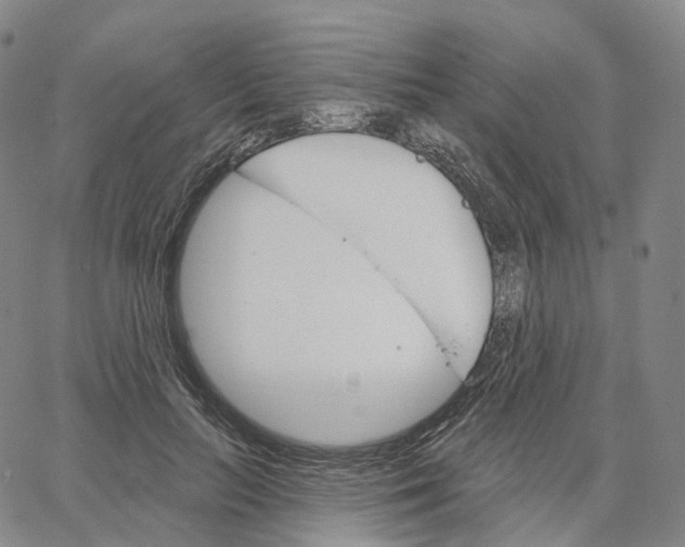 X0000062640647200601181746