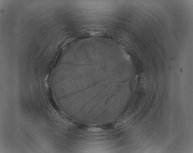 X0000062640650200601181746