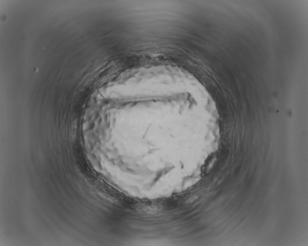 X0000062640652200601181746