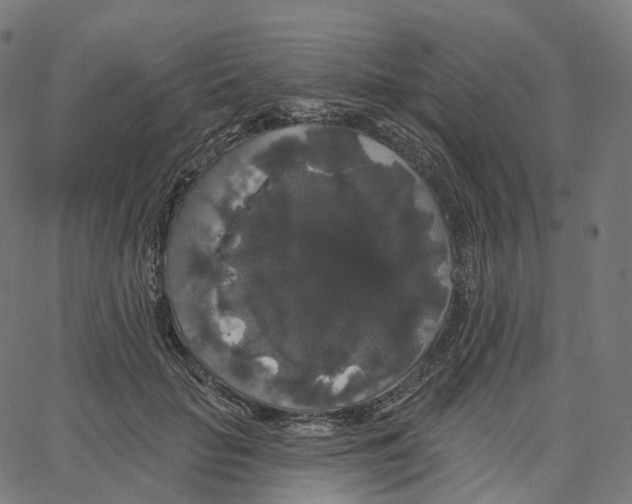 X0000062640653200601181746