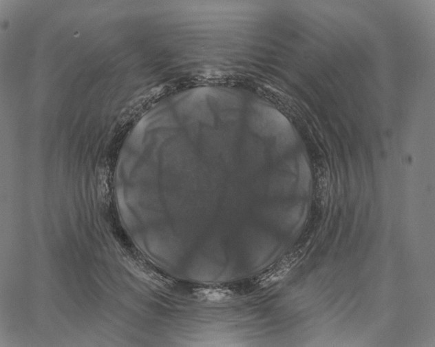 X0000062640654200601181746