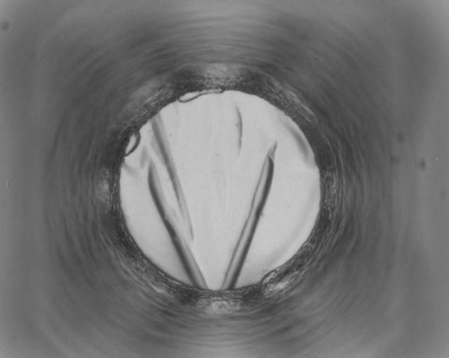 X0000062640655200601181746