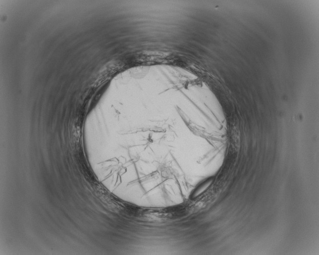 X0000062640657200601181746