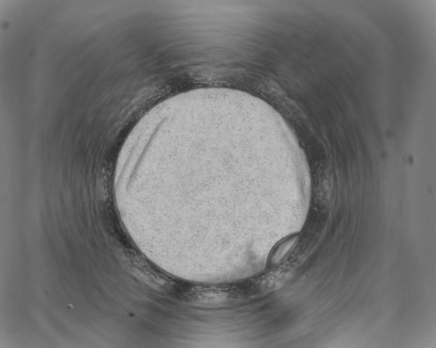 X0000062640658200601181746