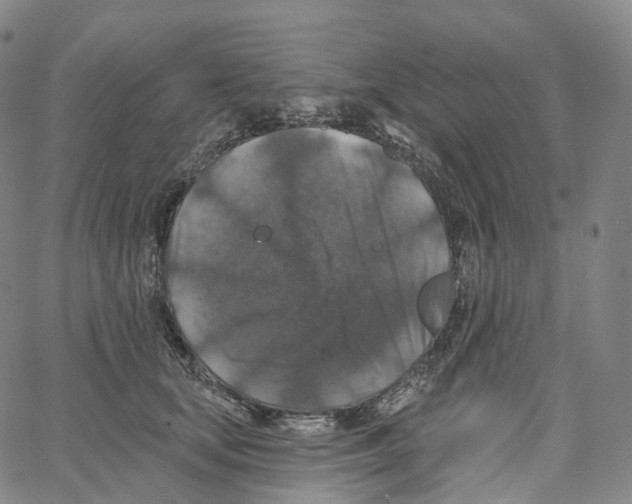 X0000062640659200601181746