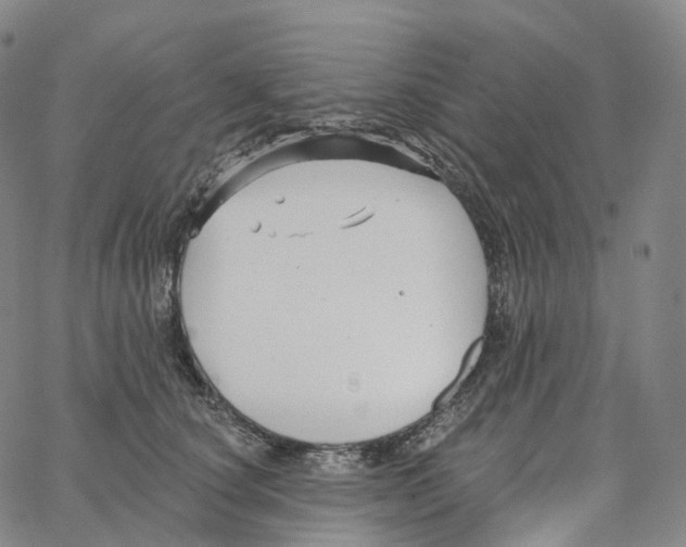 X0000062640660200601181746