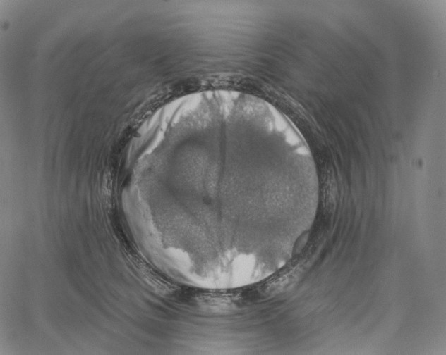 X0000062640661200601181746