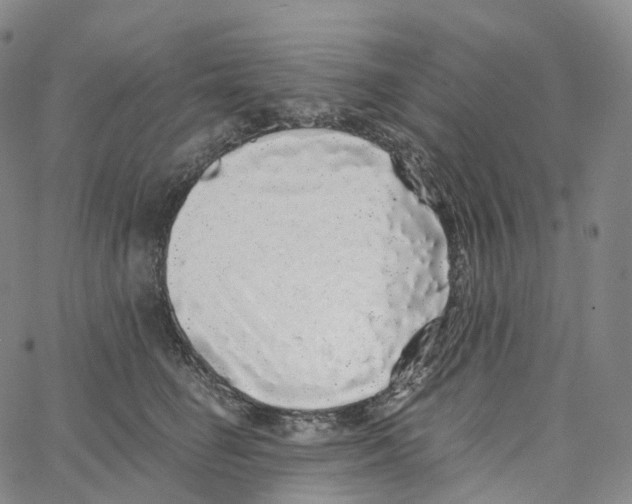 X0000062640662200601181746