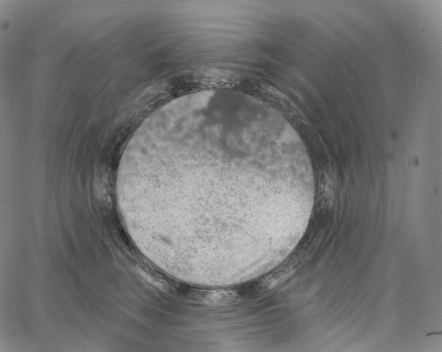 X0000062640663200601181746