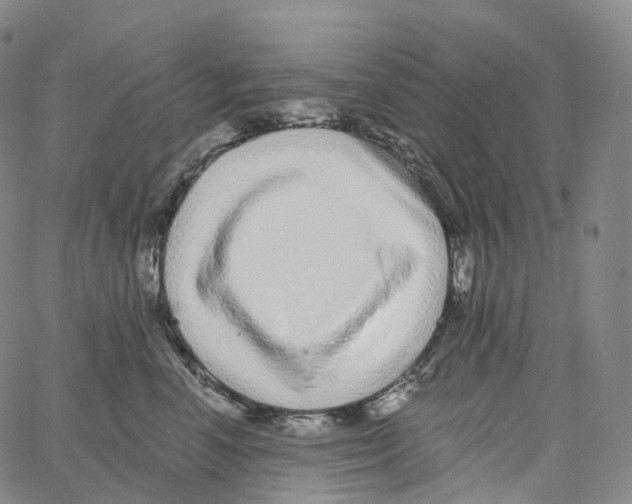 X0000062640666200601181746