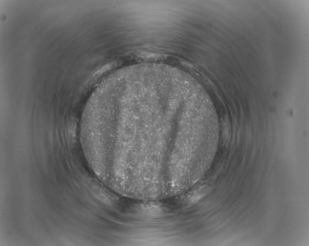 X0000062640668200601181746