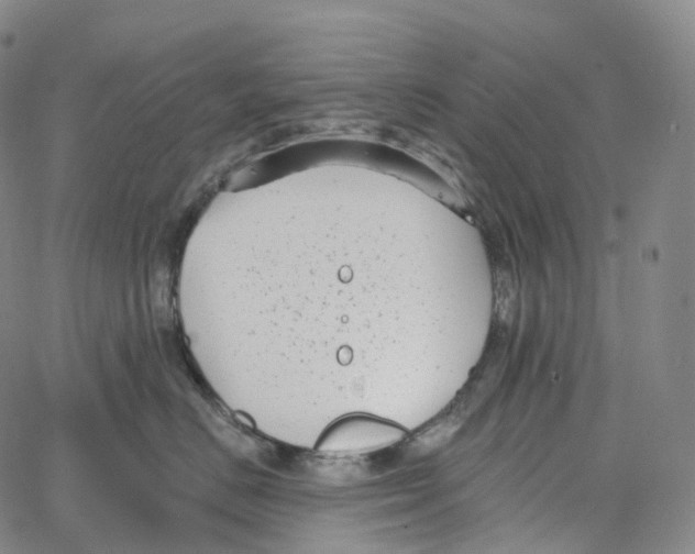 X0000062640670200601181746