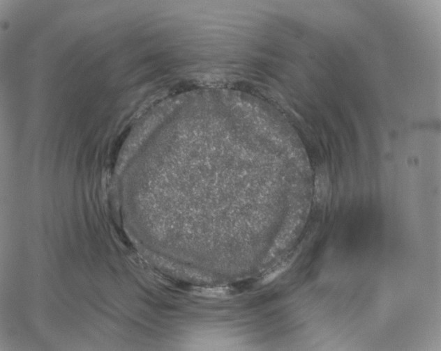 X0000062640671200601181746