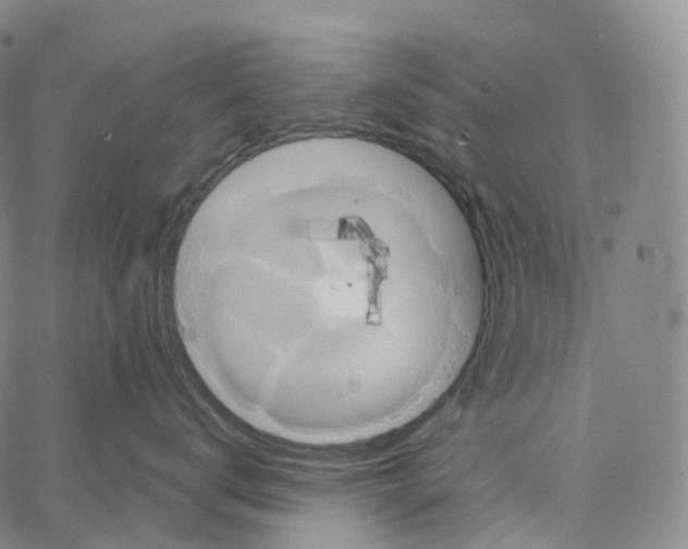 X0000062640672200601181746