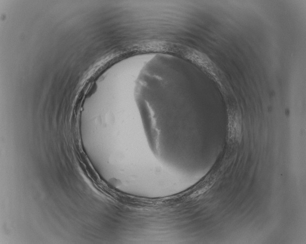 X0000062640674200601181745