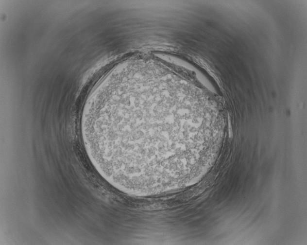 X0000062640675200601181745