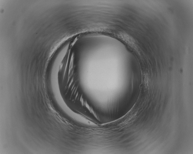 X0000062640676200601181745