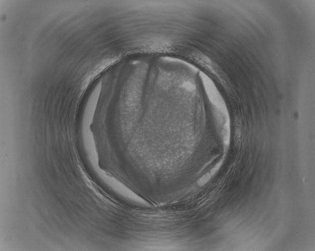 X0000062640677200601181745