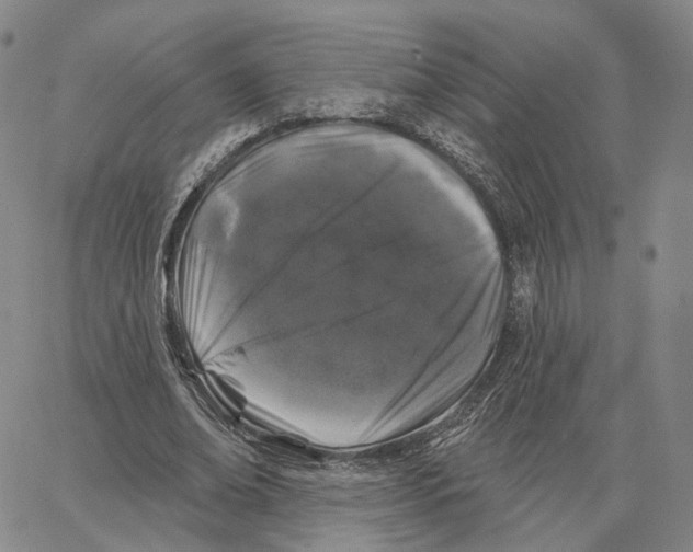 X0000062640678200601181745