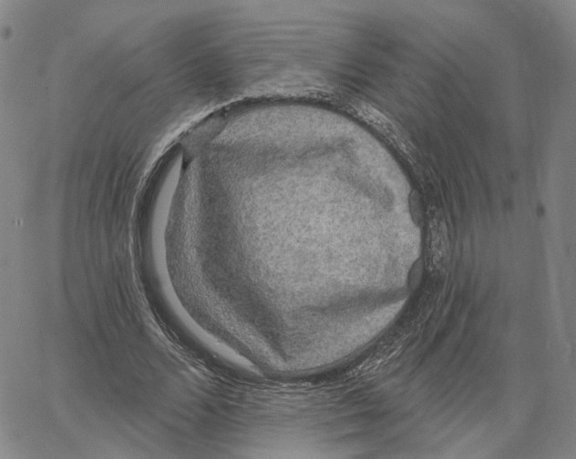 X0000062640680200601181745