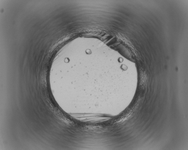 X0000062640681200601181745