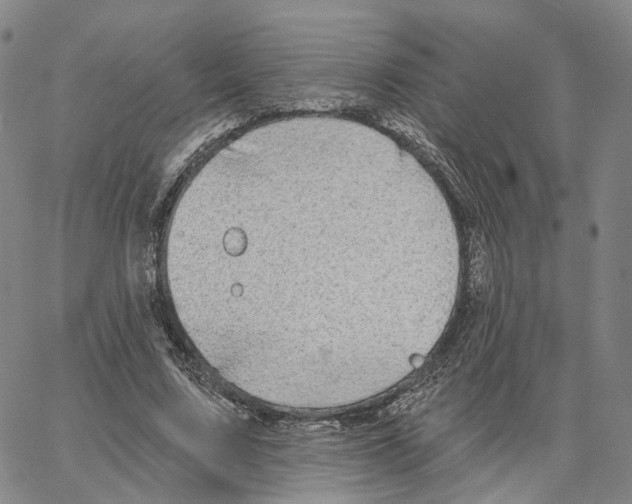 X0000062640683200601181745