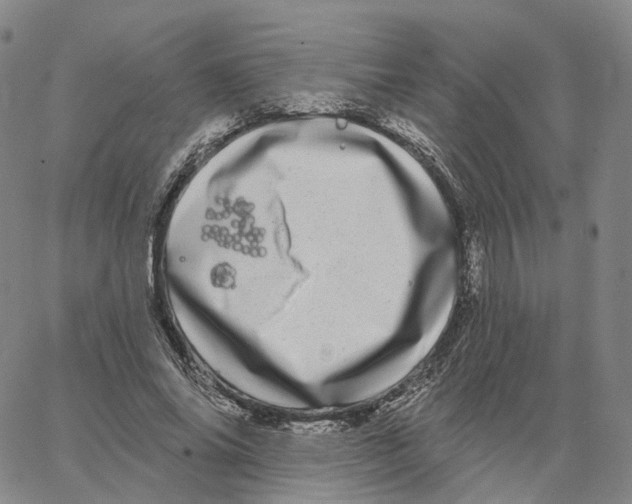 X0000062640686200601181745