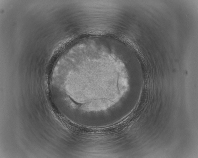 X0000062640688200601181745