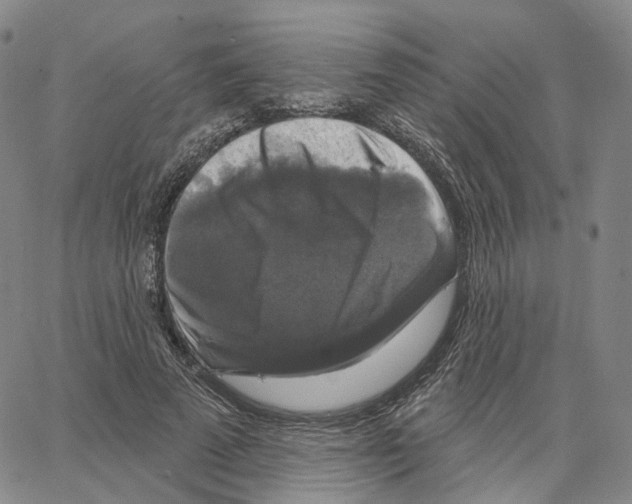 X0000062640689200601181745