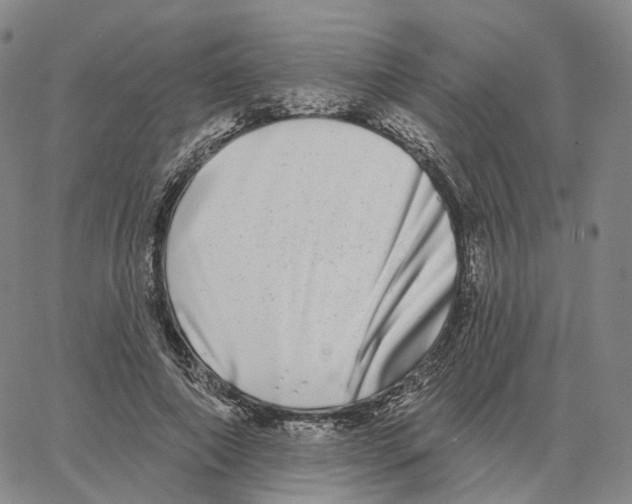 X0000062640690200601181745