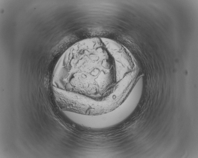 X0000062640691200601181745