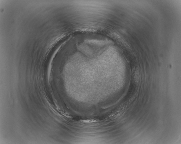 X0000062640692200601181745