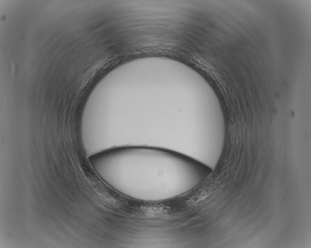 X0000062640693200601181745