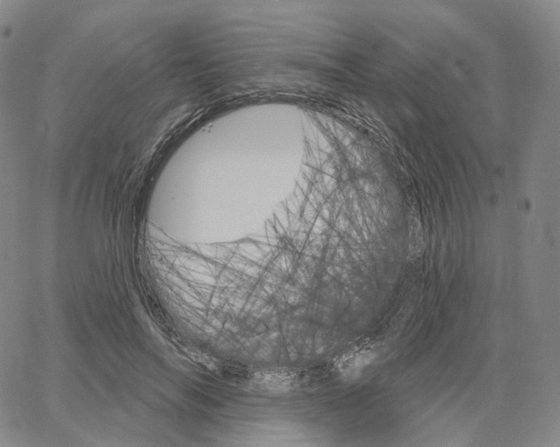 X0000062640694200601181745