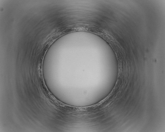 X0000062640696200601181745