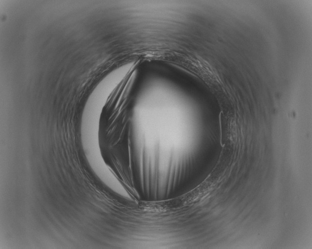 X0000062640697200601181745