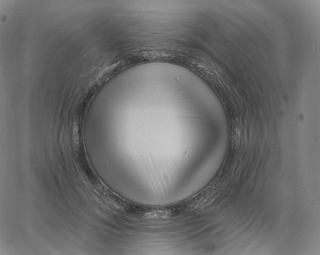 X0000062640700200601181745