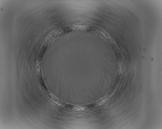 X0000062640701200601181745