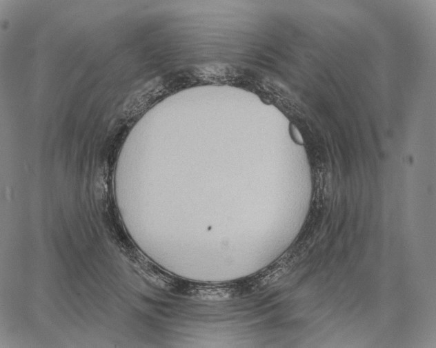 X0000062640702200601181745