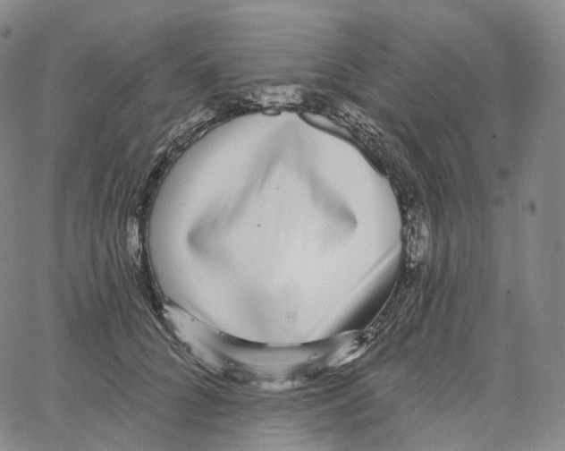 X0000062640704200601181745