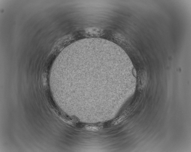 X0000062640706200601181745